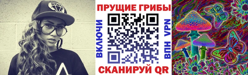 Галлюциногенные грибы Psilocybine cubensis  блэк спрут как зайти  Циолковский  купить наркоту 